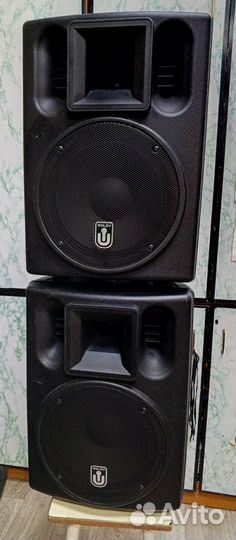 Акустическая система woldy MWS12AU 2 шт