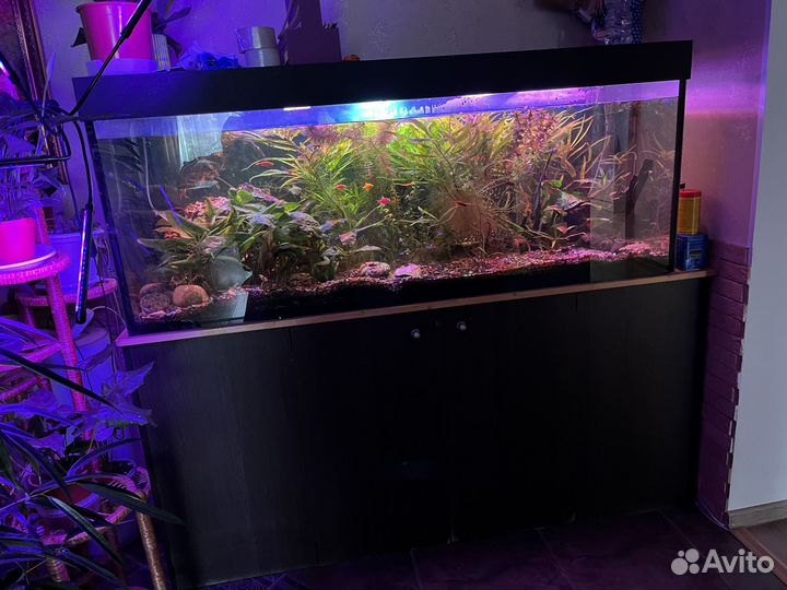 Аквариум на 400 литров