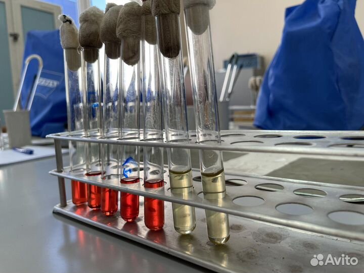 Репетитор по биологии, подготовка к впр, огэ и егэ