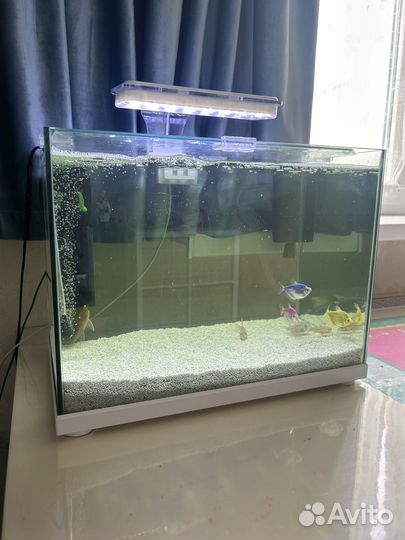 Аквариум