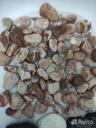 Галька морская камни мрамор песчаник розовый сланц
