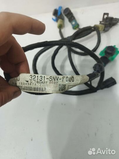 Парктроник бампера Honda Civic