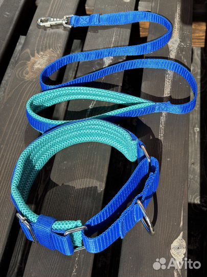 Ошейник мартингейл для собак с поводком