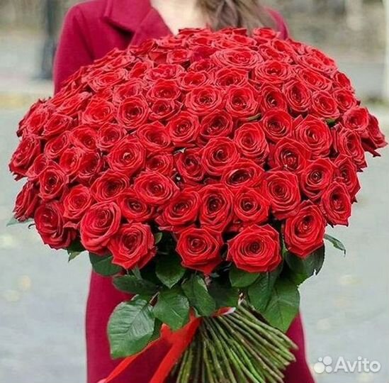 Букет роз 101 роза 51 роза