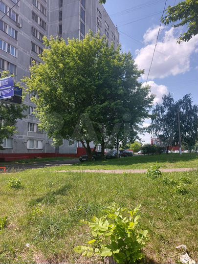 Комната 13 м² в 2-к., 11/16 эт.