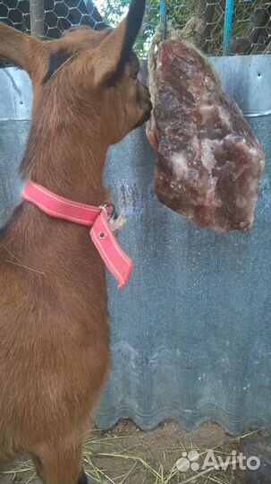 Соль лизунец гималайская соль