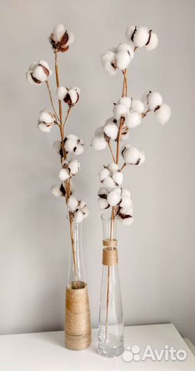 Хлопок сухоцвет