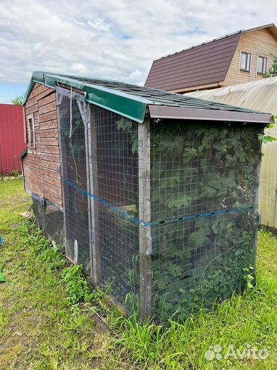 Курятник для кур
