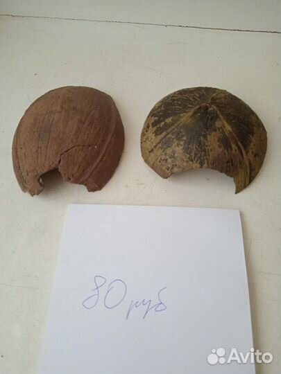 Кокосы, пещеры для рыбок