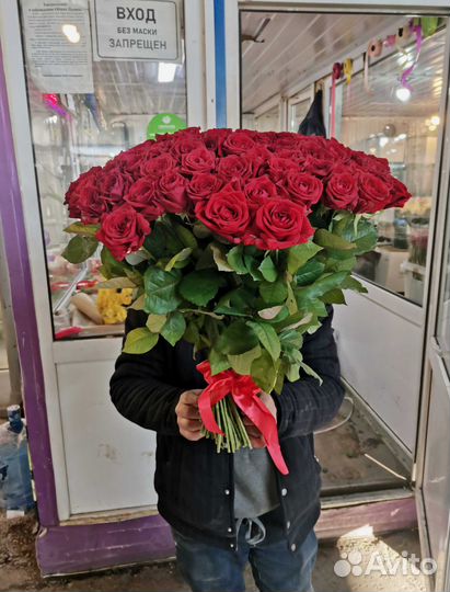 Розы, букет цветов 101 роза