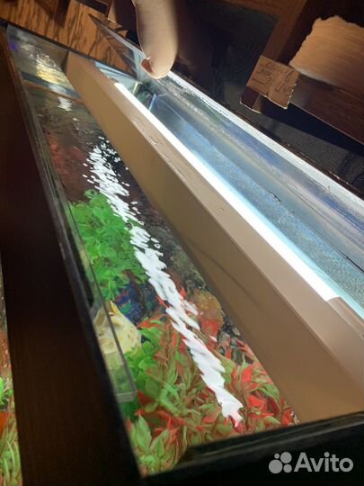 Аквариум 100 литров