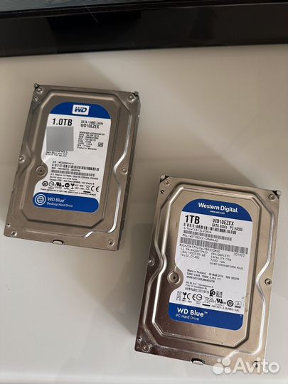 Жесткий диск 1 тб western digital