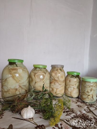 Грузди соленые