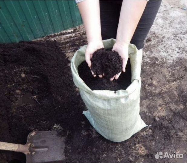 Земля для рассады