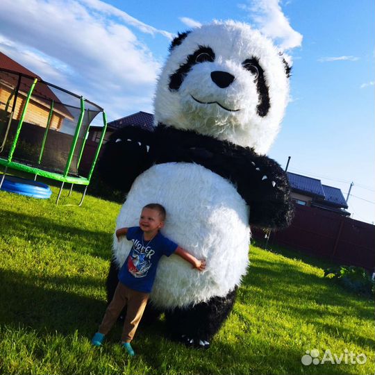 Медведь на праздник