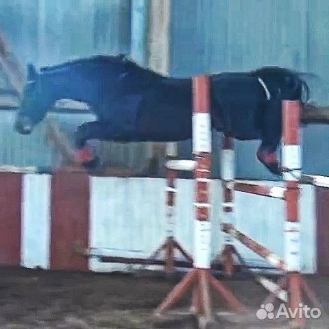 Фотосессия, аренда (спорт)