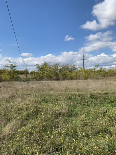 Участок 5,3 сот. (ИЖС)