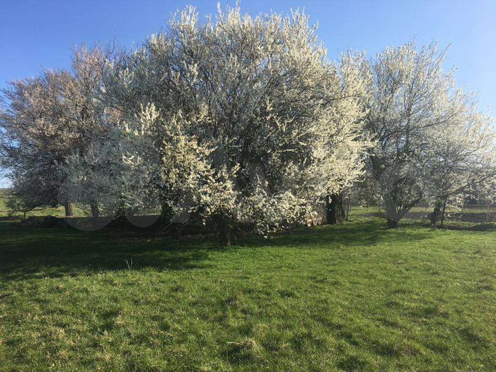 Участок 13,6 сот. (ИЖС)