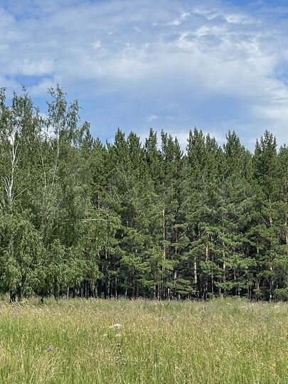 Участок 13 сот. (СНТ, ДНП)