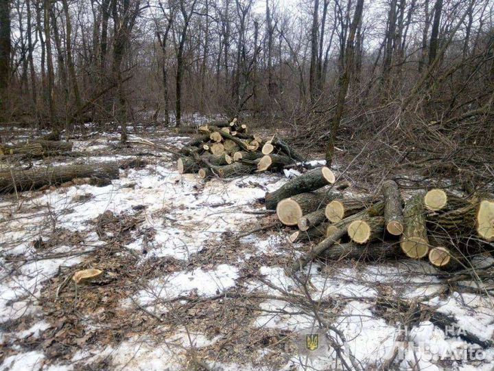 Спил деревьев расчистка участков уборка территорий