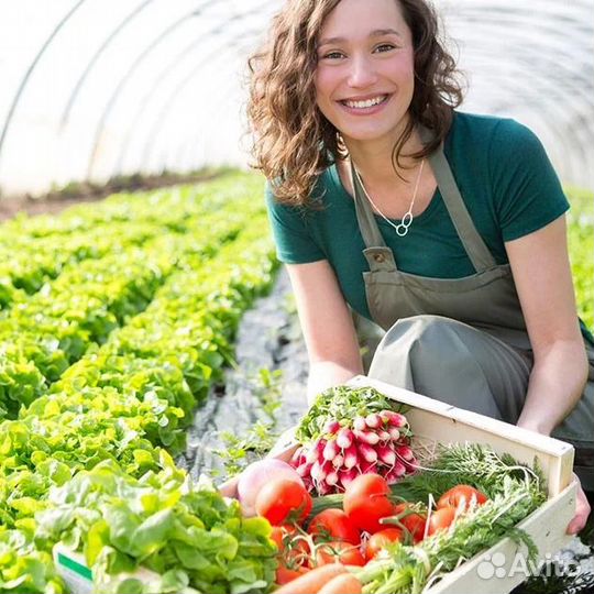Энтомофаги для борьбы с вредителями