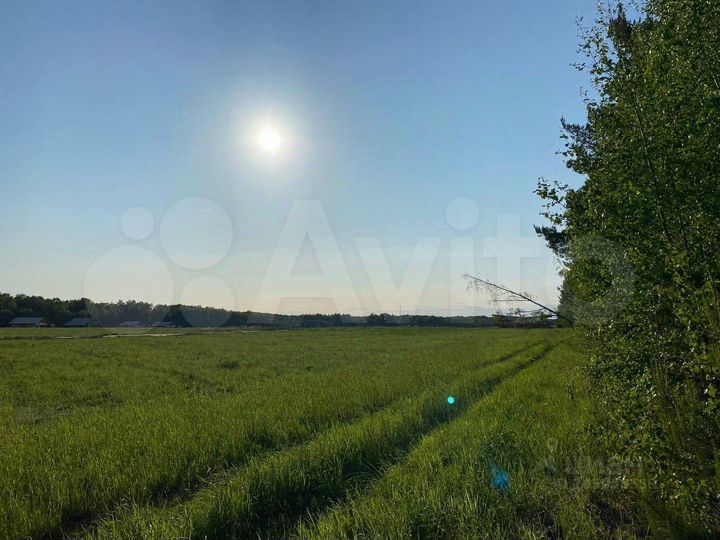 Участок 16,9 сот. (ИЖС)