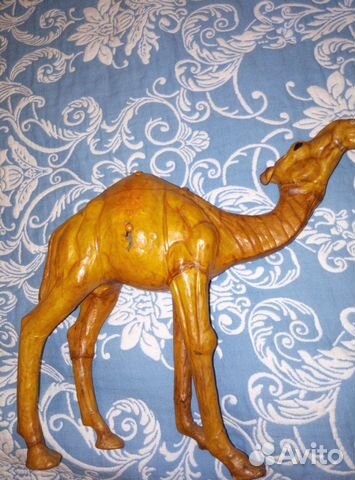 Верблюд. Египет. 40*45