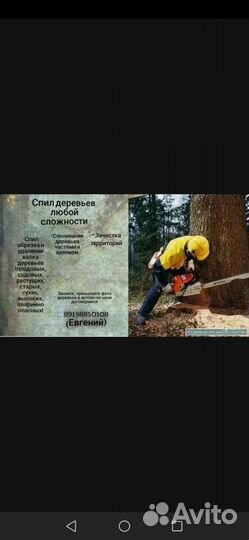 Спил деревьев кронирование стрижка, покос травы