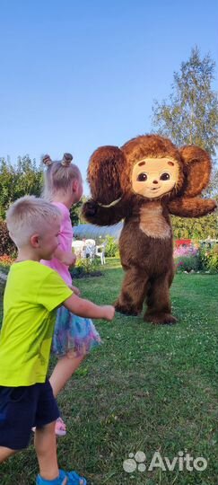 Ростовые куклы. Экспресс-поздравления