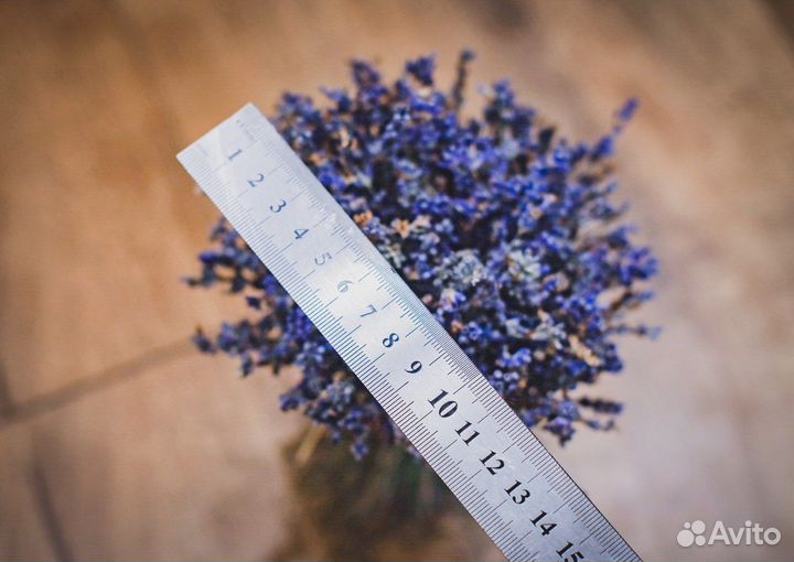 Лаванда букет / сухоцветы