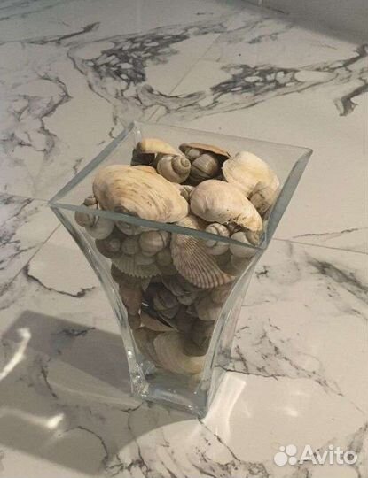 Вазон с ракушками