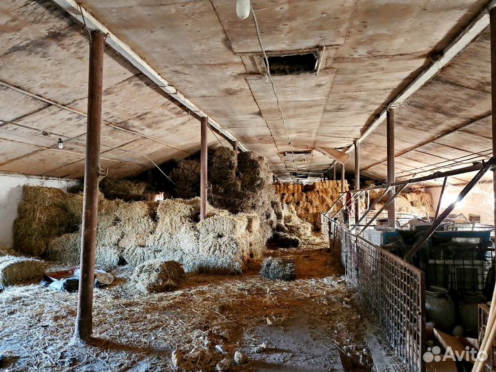 Животноводческий комплекс