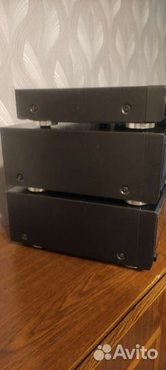 Technics SU-C1000M2/SE-A1000M2 (отдельно) BiAmping