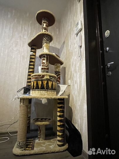 Продажа домика для кошки