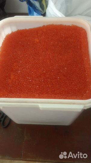 Красная Икра Кеты