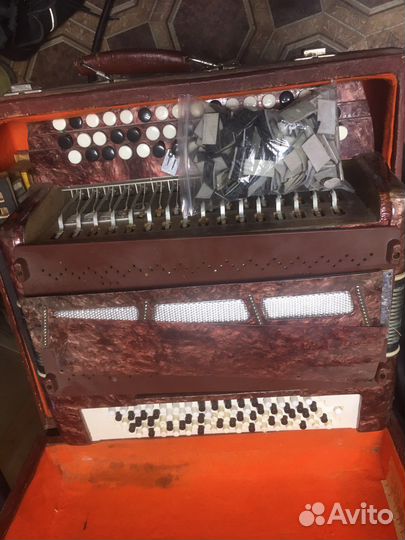 Баян школьник