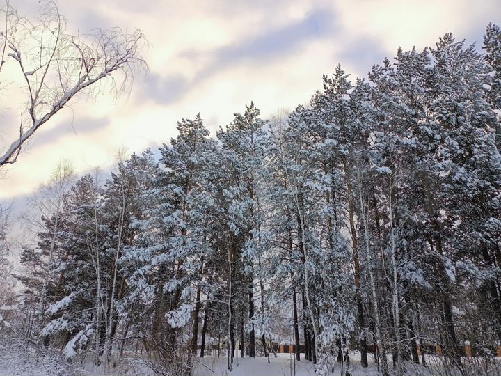 Участок 1 сот. (СНТ, ДНП)