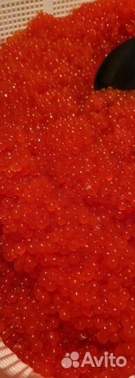 Красная икра оптом