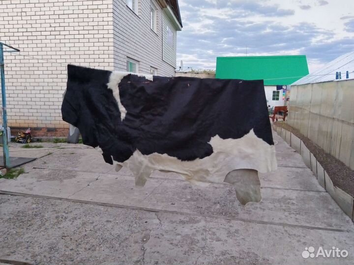 Шкура коровья