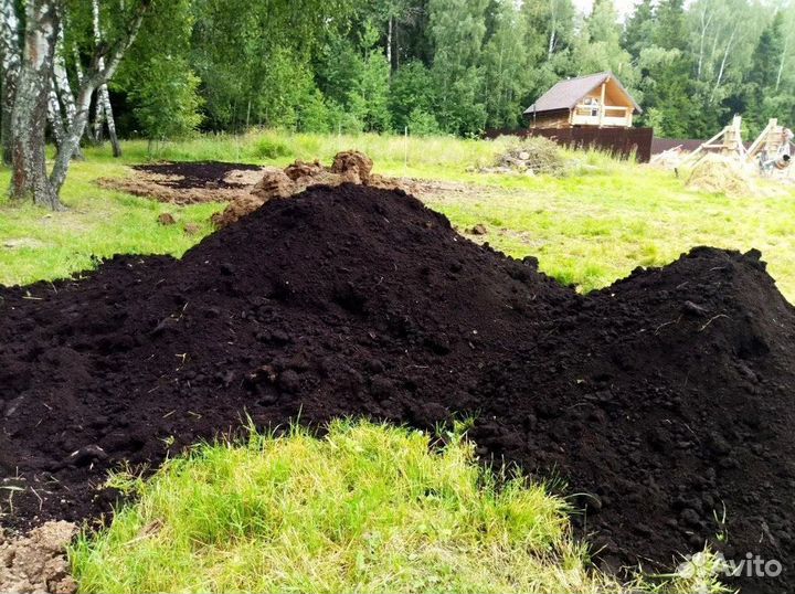 Чернозем