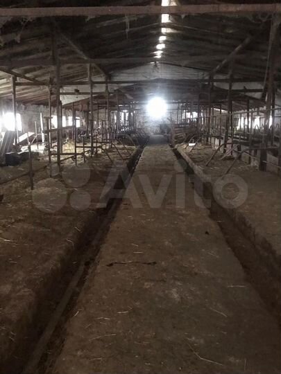 Ферма 1800 м2