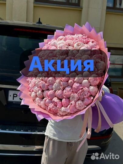 Пионы 11шт 15шт 51шт 101шт/ розы/ цветы