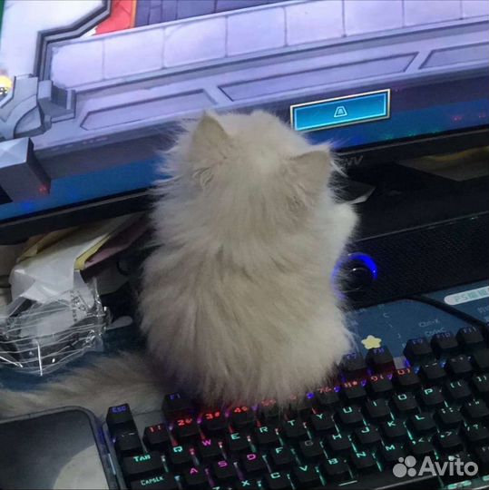 Сборка компьютера