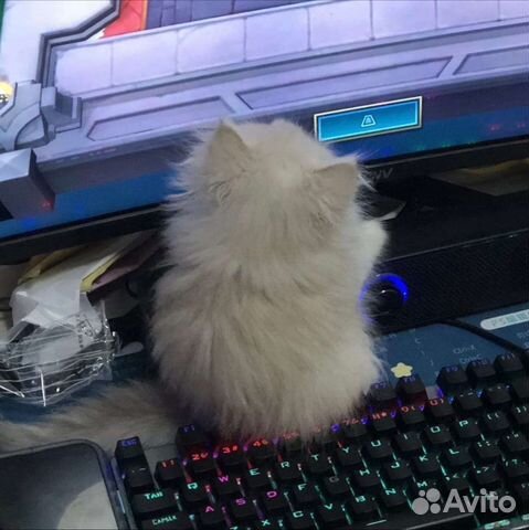 Сборка компьютера