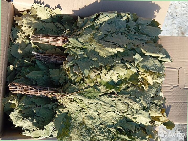 Веник для бани березовый опт под заказ