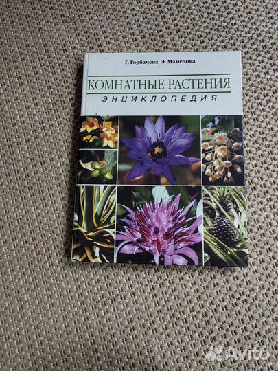 Энциклопедия комнатных растений