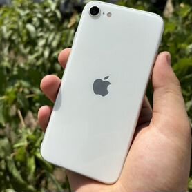 iPhone SE (2020), 64 ГБ