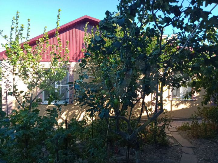 Дом 58 м² на участке 4,6 сот.