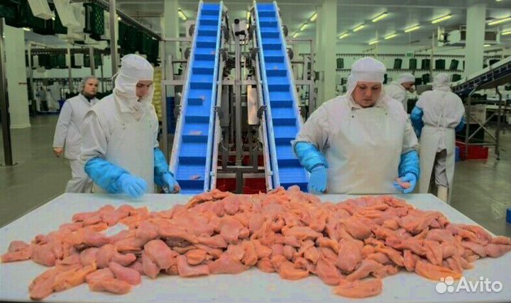 Разнорабочий на вахту