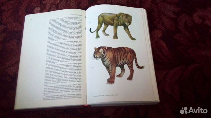 Красная книга